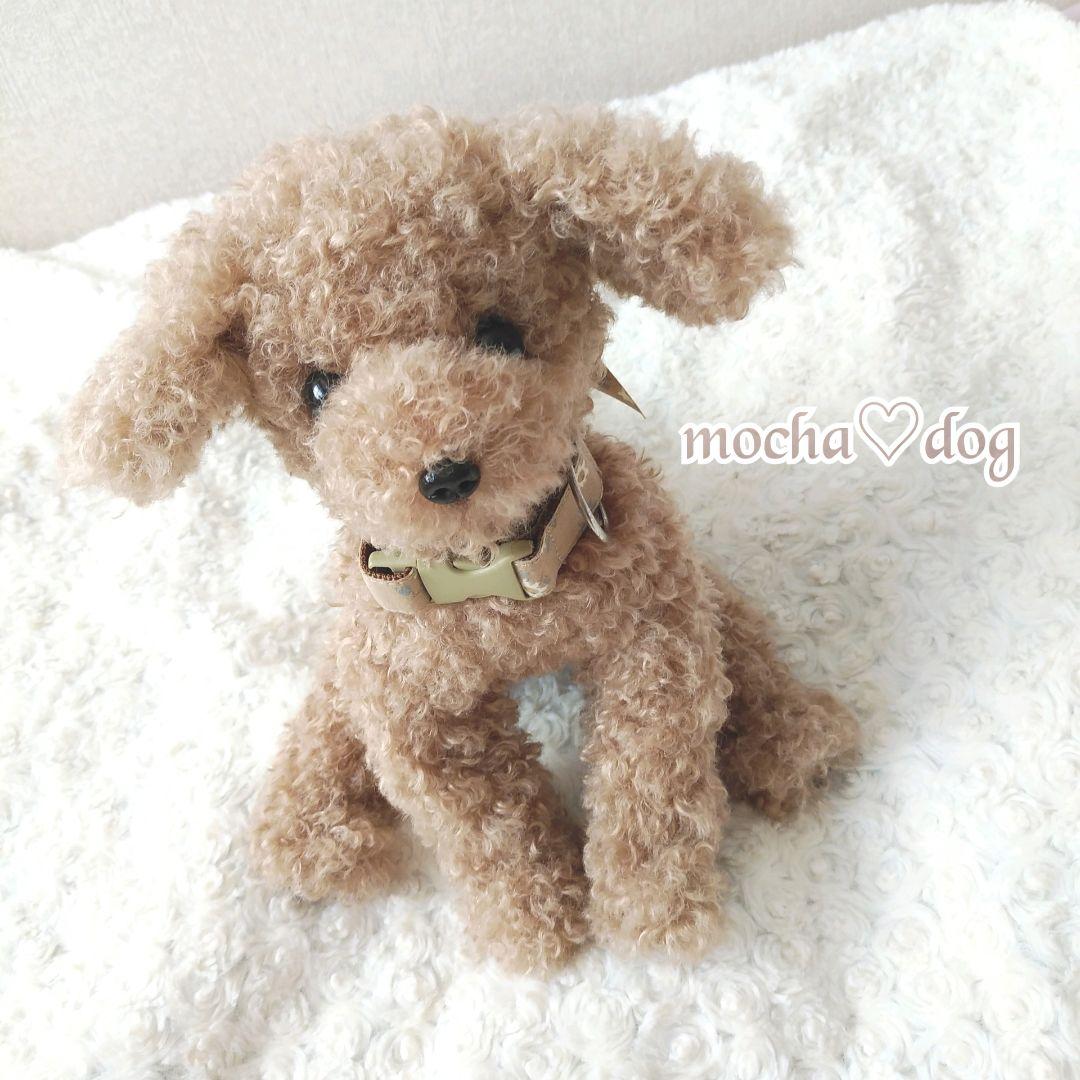 ＊mocha♡dog ＊ プードル(ラテ)☆ぬいぐるみわんこ teddy 犬