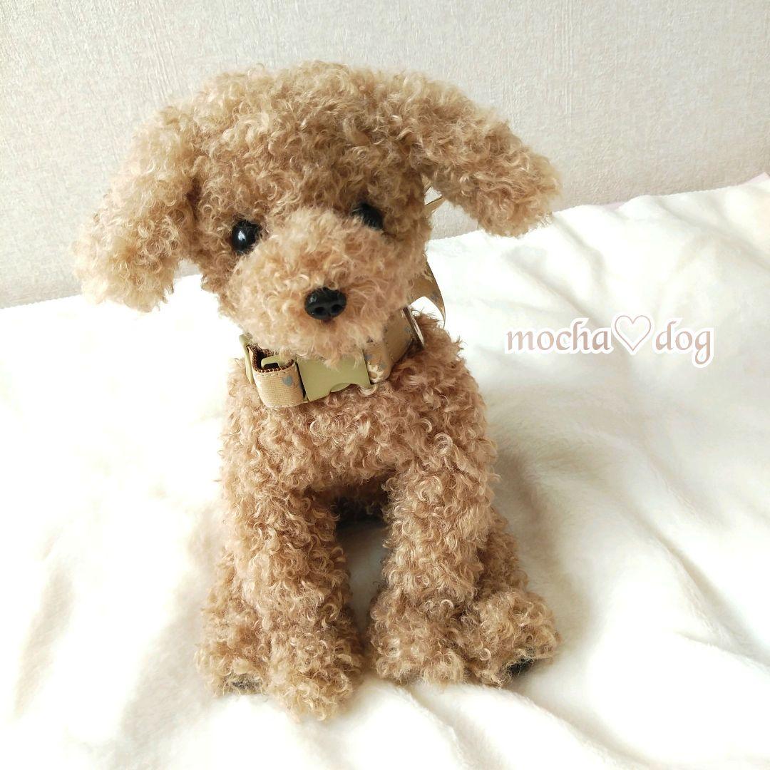 ＊mocha♡dog ＊ プードル(ラテ)☆ぬいぐるみわんこ teddy 犬