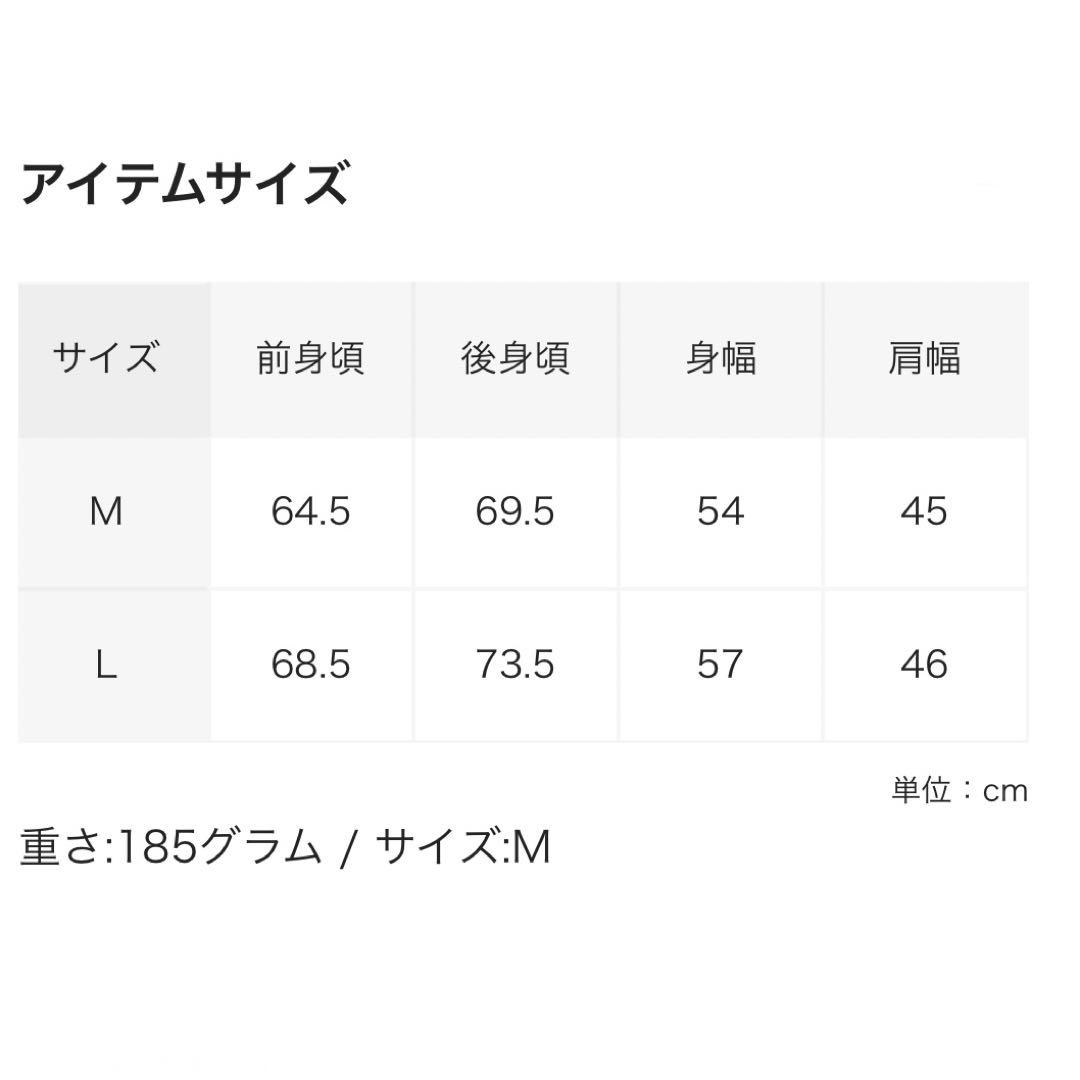 【新品】ARC’TERYX Atom Vest M サイズM