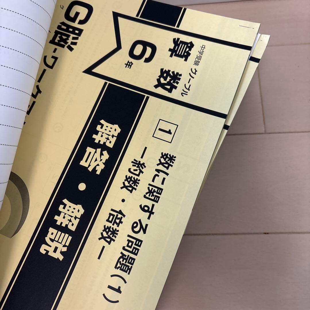 未使用 グノーブル　算数　6年　G脳　ワークアウト 全20冊