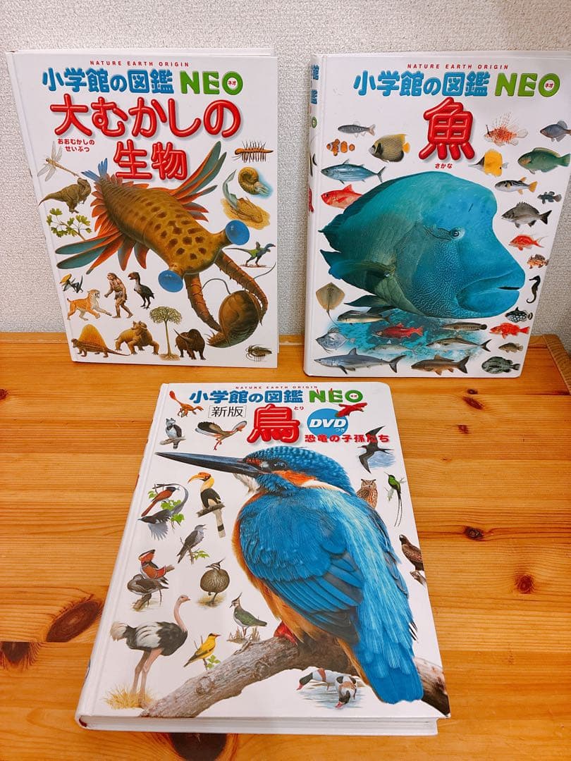 小学館の図鑑NEO 13冊セット　バラ売り❌