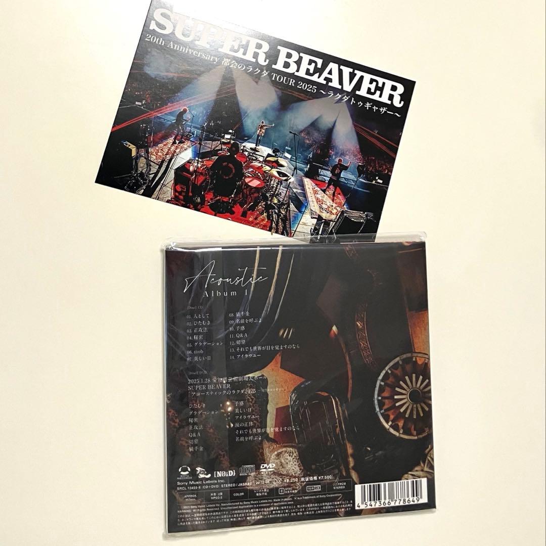 SUPER BEAVER Acoustic Album CD DVD初回生産限定