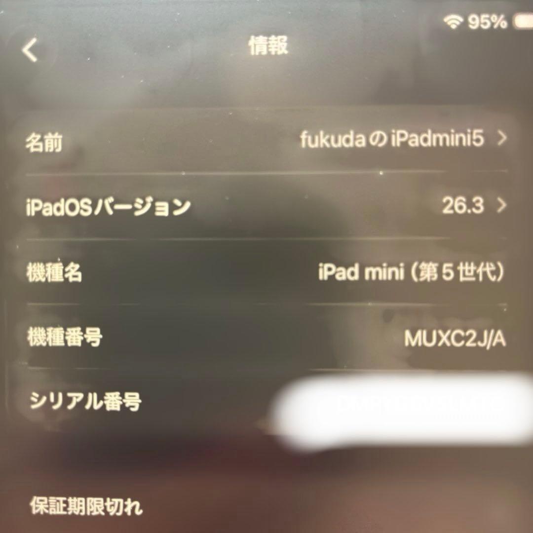 iPad mini5　256GB セルラー/WiFi