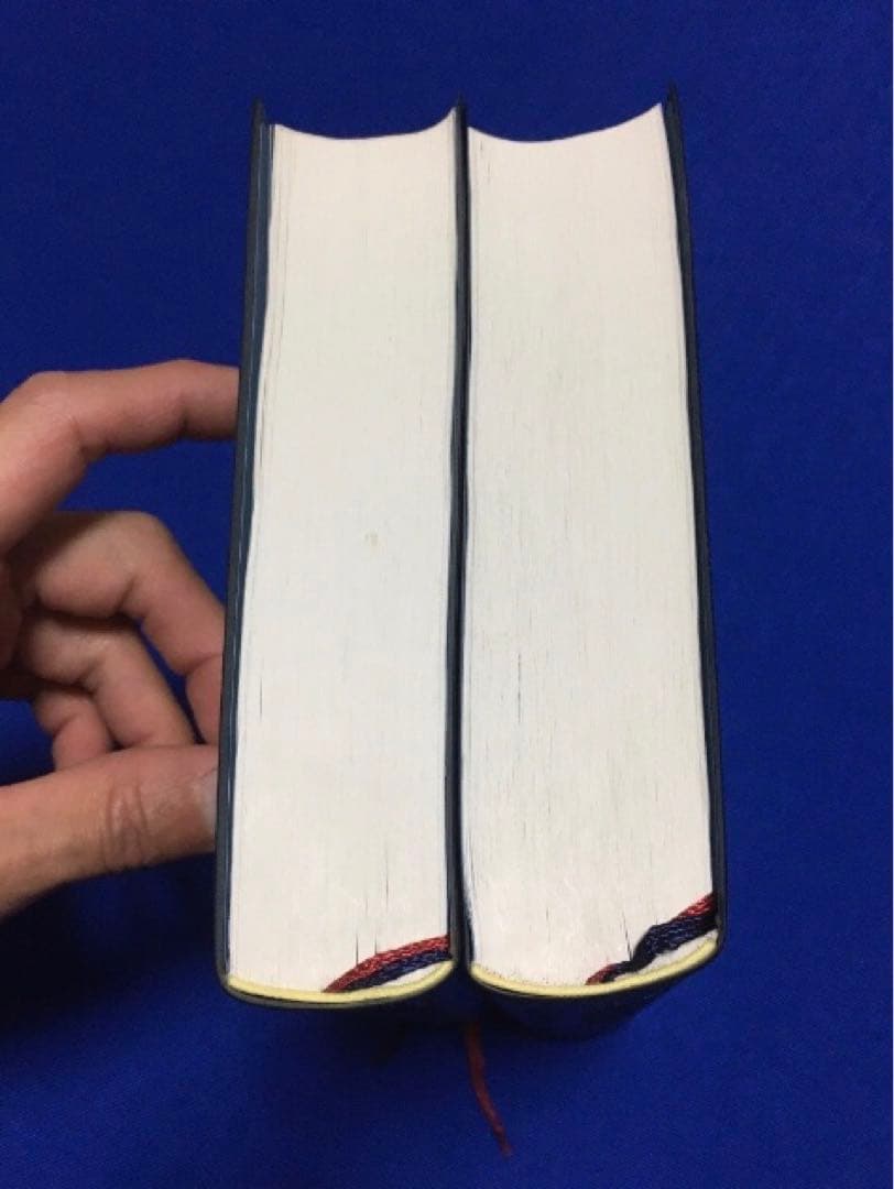 【2冊セット・良品】図解 鍼灸療法技術ガイドⅠ・Ⅱ／文光堂／東洋医学 臨床