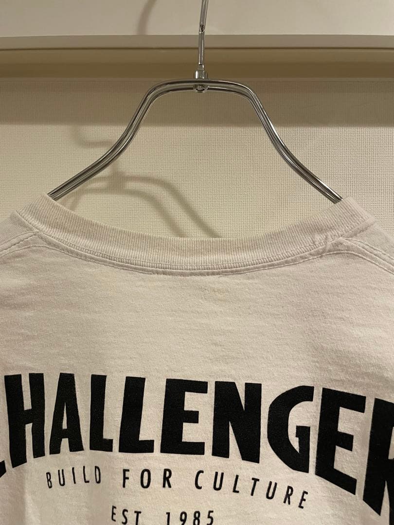 CHALLENGERチャレンジャーＴシャツ スネーク