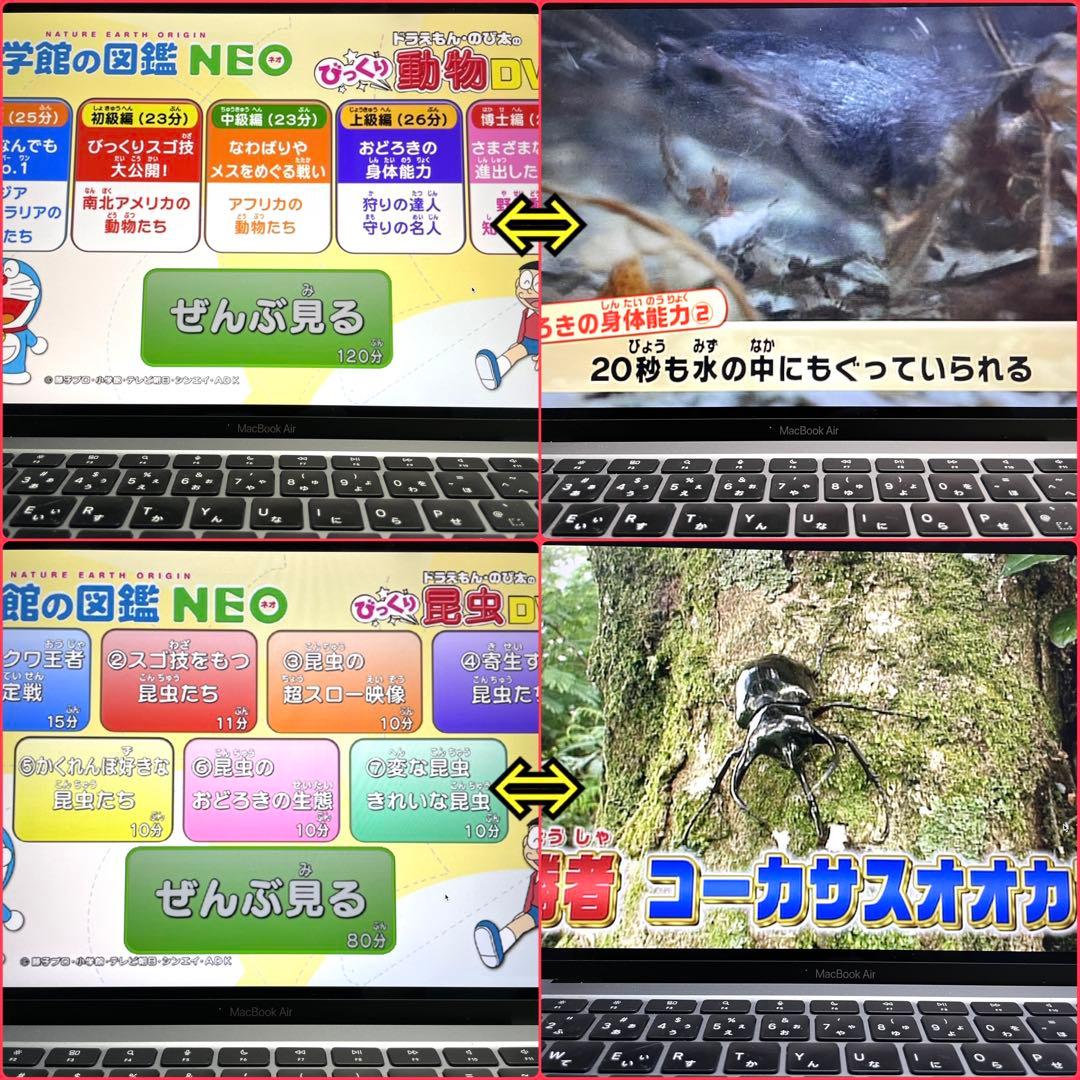図鑑まとめ売り 16冊/小学館の図鑑neo / 学研の図鑑LIVE / 講談社