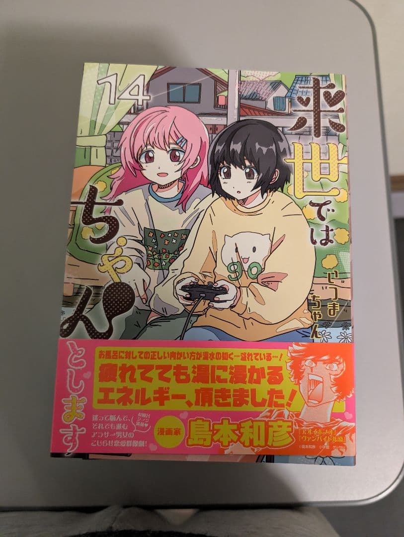 来世ではちゃんとします 全巻　14冊