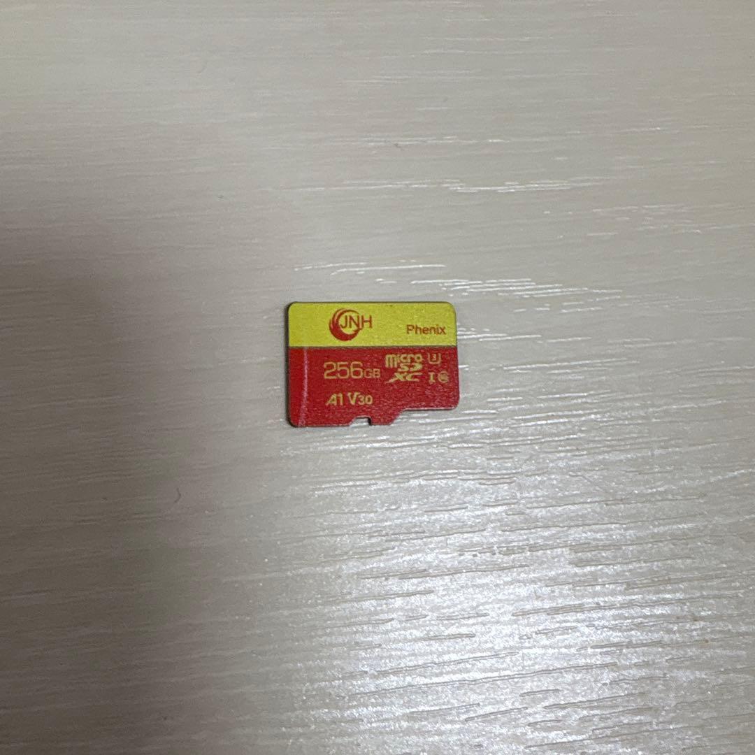 【ジャンク品‼️】Nintendo Switch Lite イエロー 256GB付