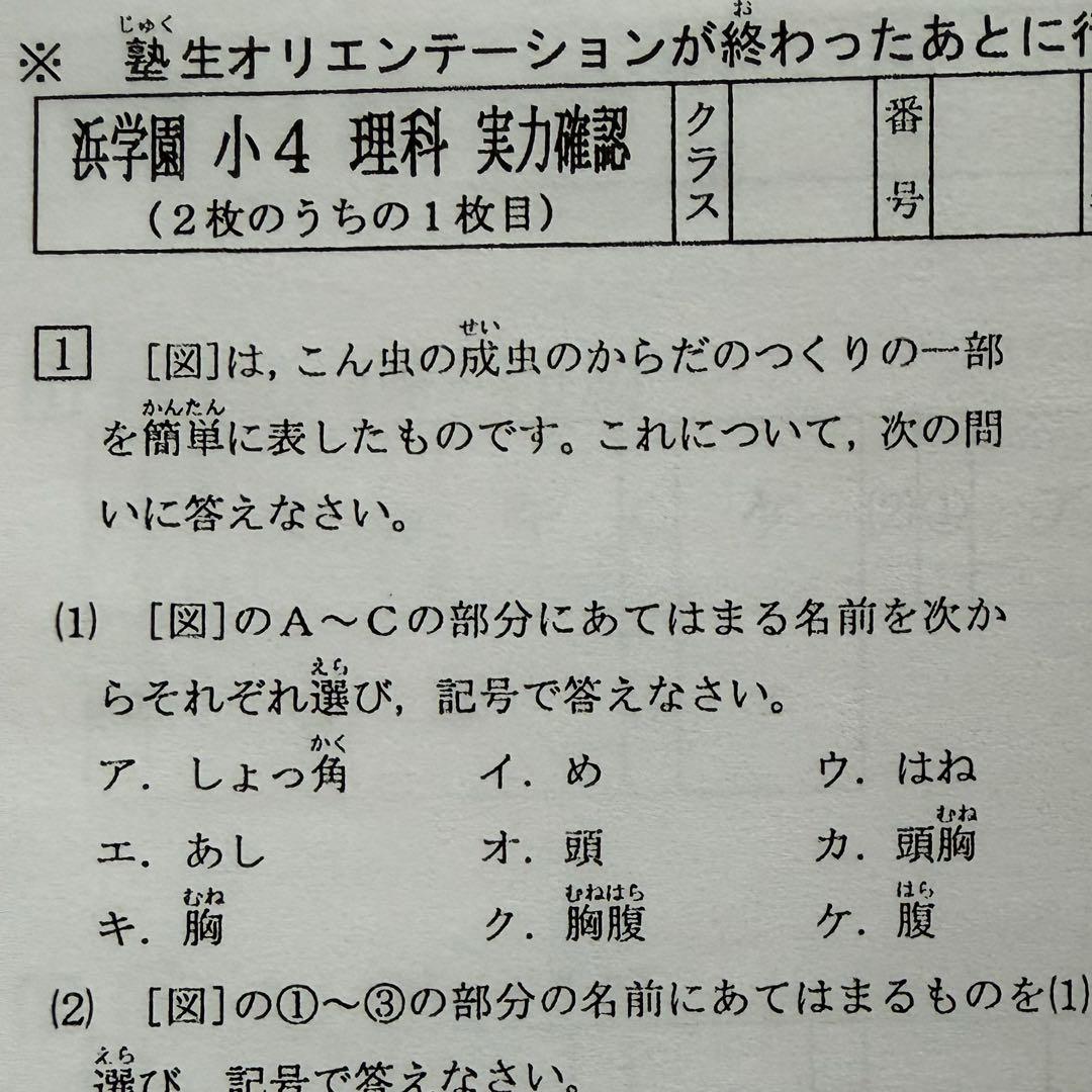 即日発送！原本サイズ！浜学園 Vクラス 復習テスト 小4 国語 理科 算数