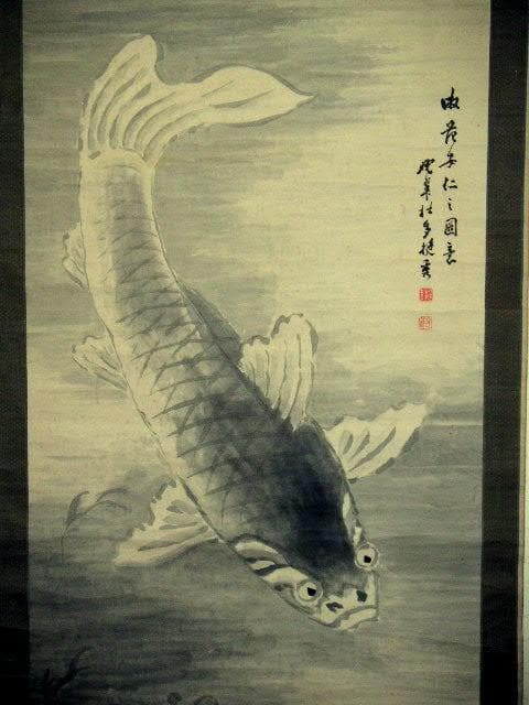 ♥日本画♥　鯉　♥大きな♥ 　掛け軸　掛軸　コイ　骨董　古玩