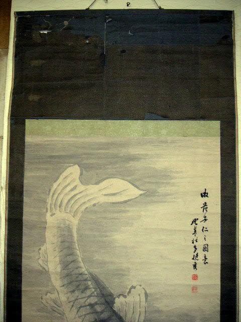 ♥日本画♥　鯉　♥大きな♥ 　掛け軸　掛軸　コイ　骨董　古玩
