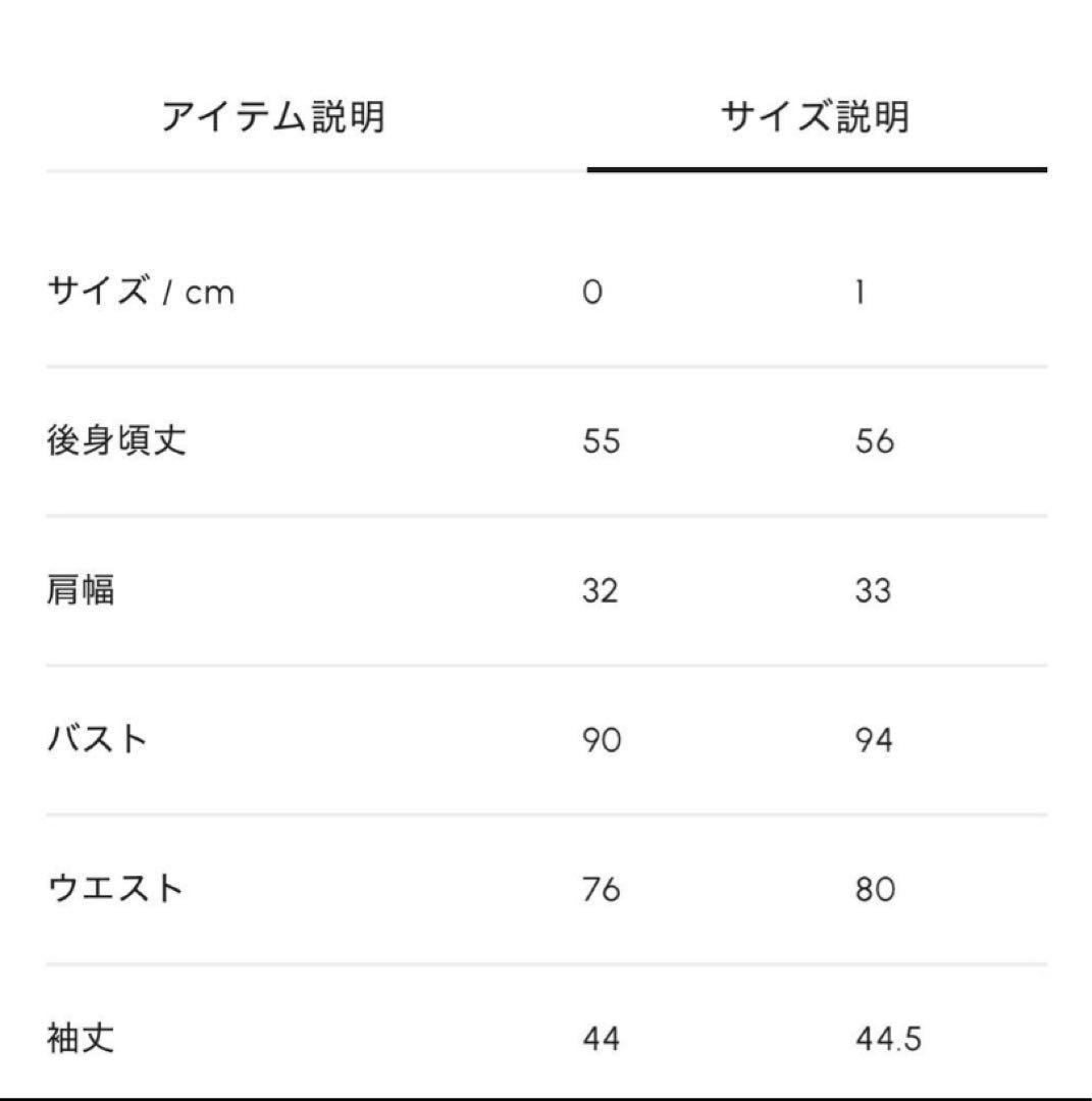 シーニュCygne グレー とんがりトップス　半袖シャツ　サイズ0
