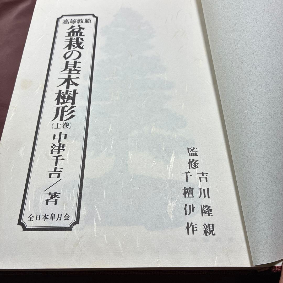 高等規範　盆栽の基本樹形　上　中津千吉