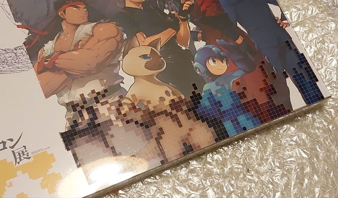 大カプコン展　公式図録　特装版　カタログ　公式