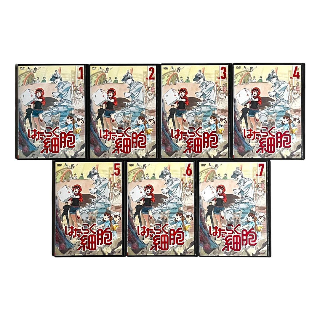 新品ケース DVD 「 はたらく細胞 」 1期 全7巻 全巻セット