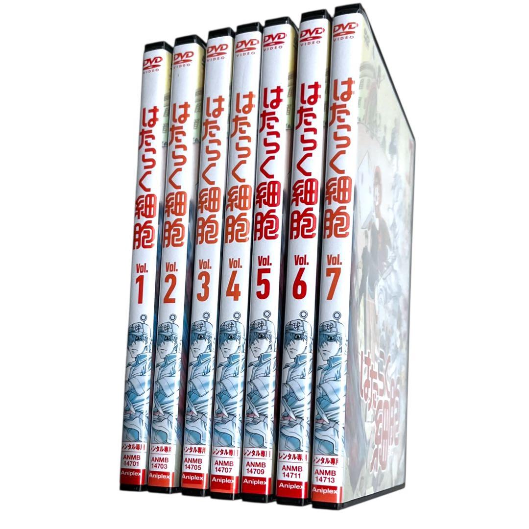 新品ケース DVD 「 はたらく細胞 」 1期 全7巻 全巻セット