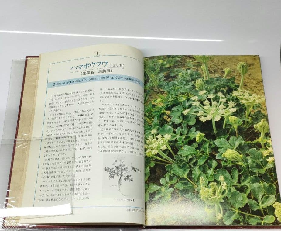 【非売品 第1版】 薬用植物 武田薬報400年記念号 武田薬品 ブックカバー付き