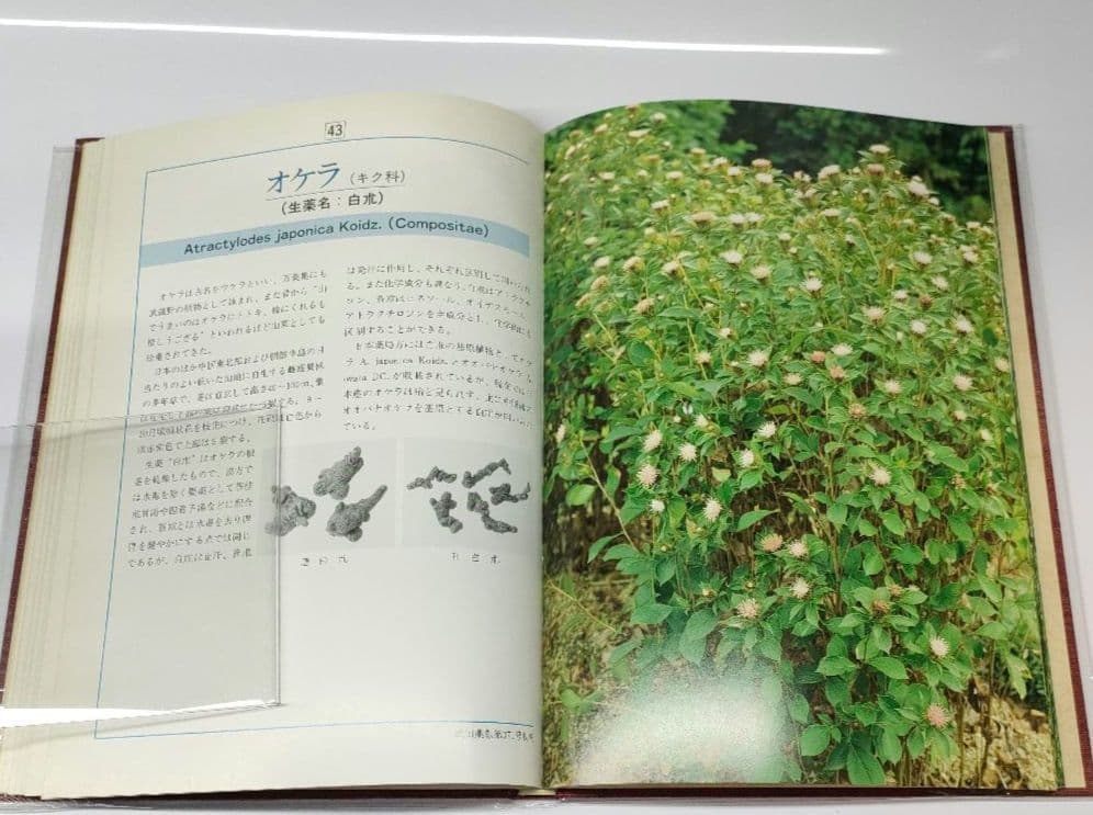 【非売品 第1版】 薬用植物 武田薬報400年記念号 武田薬品 ブックカバー付き