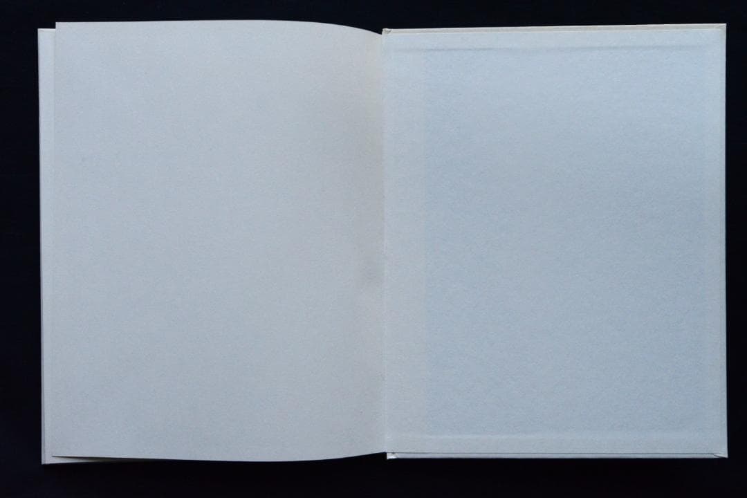 【Naoya Hatakeyama: Scales 】畠山直哉 ★新品・美本