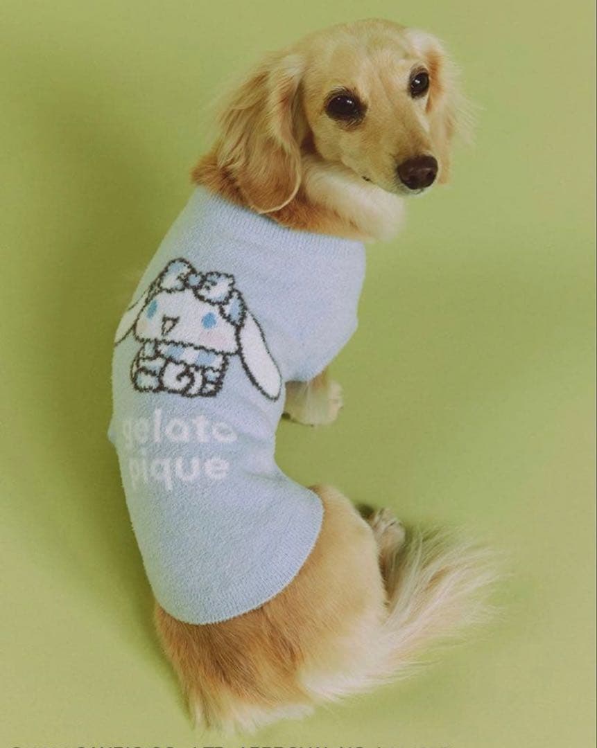gelato pique シナモロール　シナモン犬用ウェア