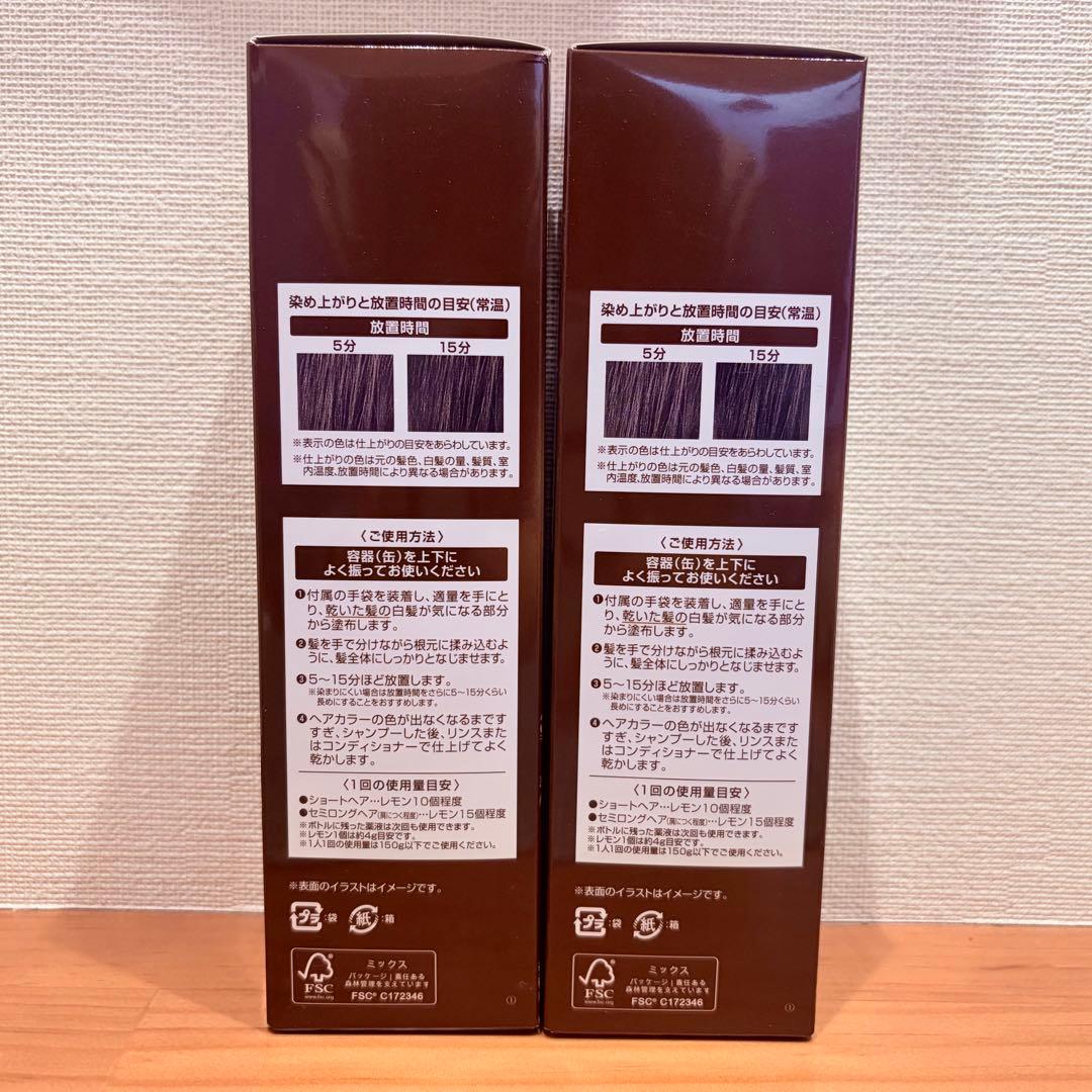 ヘアボーテ エクラ ボタニカル エアカラーフォームEX ダークブラウン2本