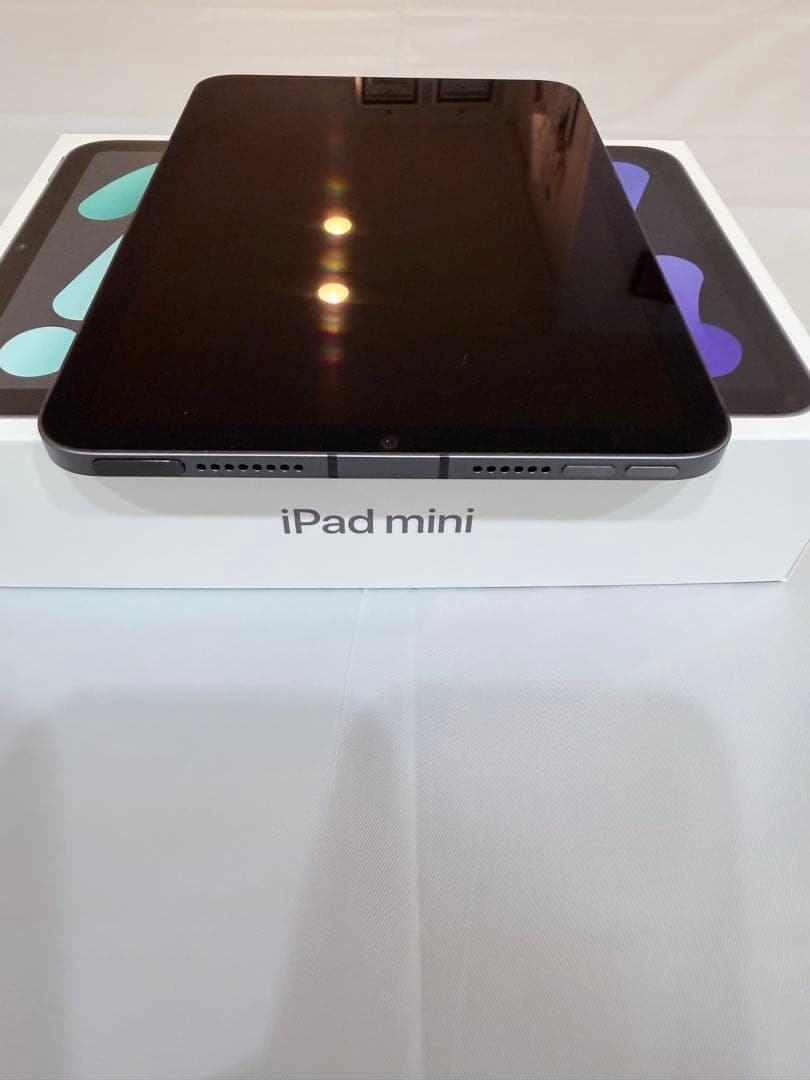 【極美品】iPad mini6 256GB SIMフリー セルラーモデル