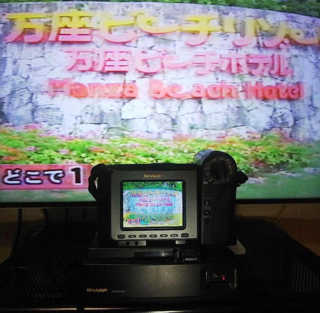 SHARP Hi8 ビデオカメラ VL-HL50 液晶ビューカム