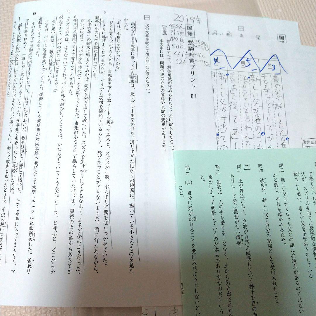 最新2025年度版　6年サピックス国語　筑駒開成コース