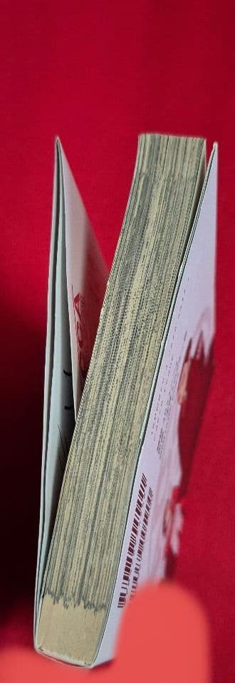 ACCA13区監察課 P.S オノ・ナツメ 直筆サイン入り グロッシュラー