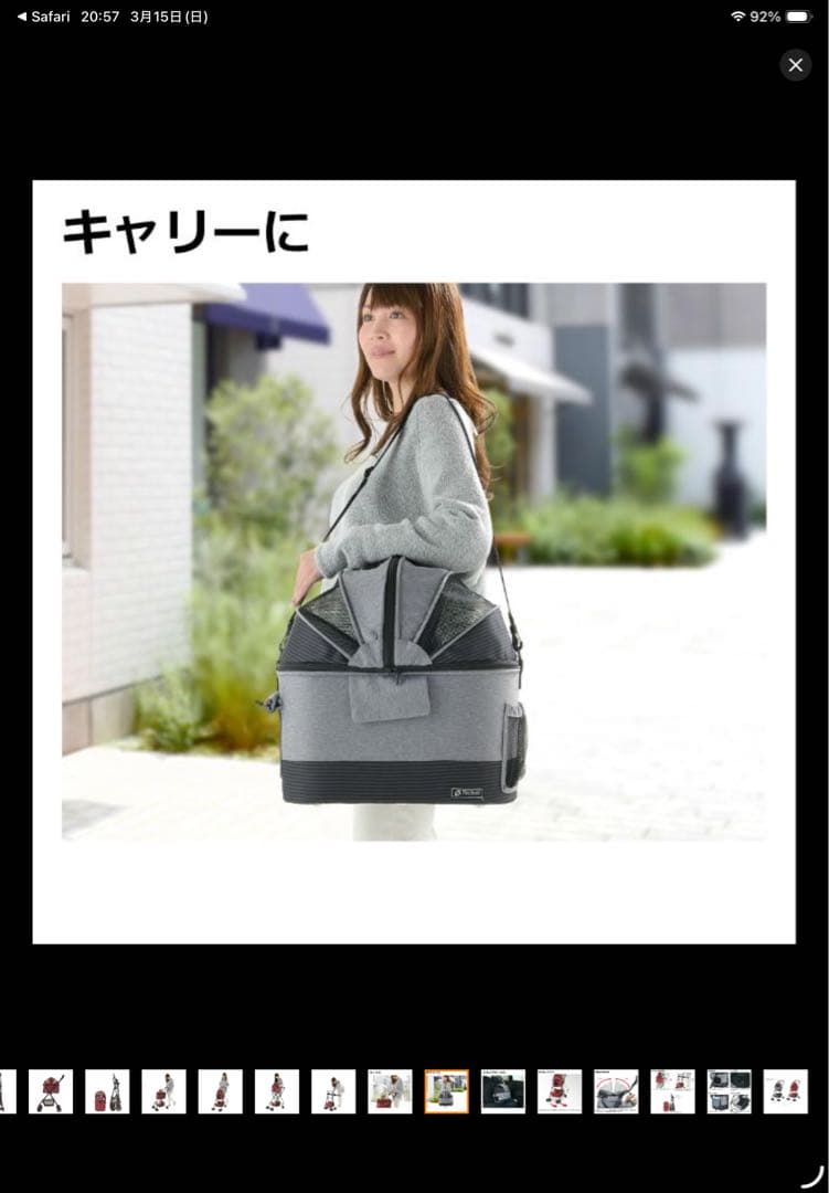 Richellリッチェル ペットカート ミニモ　レッド