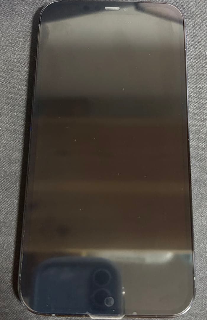 バッテリーフロント画面純正新品 iPhone12promax ブルー 256GB