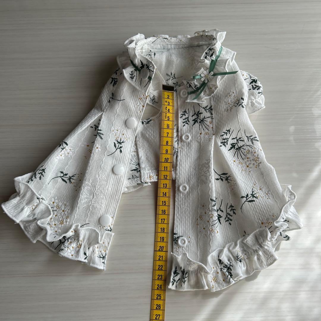 No.539・540 犬服ハンドメイド　バックオープンワンピース2着