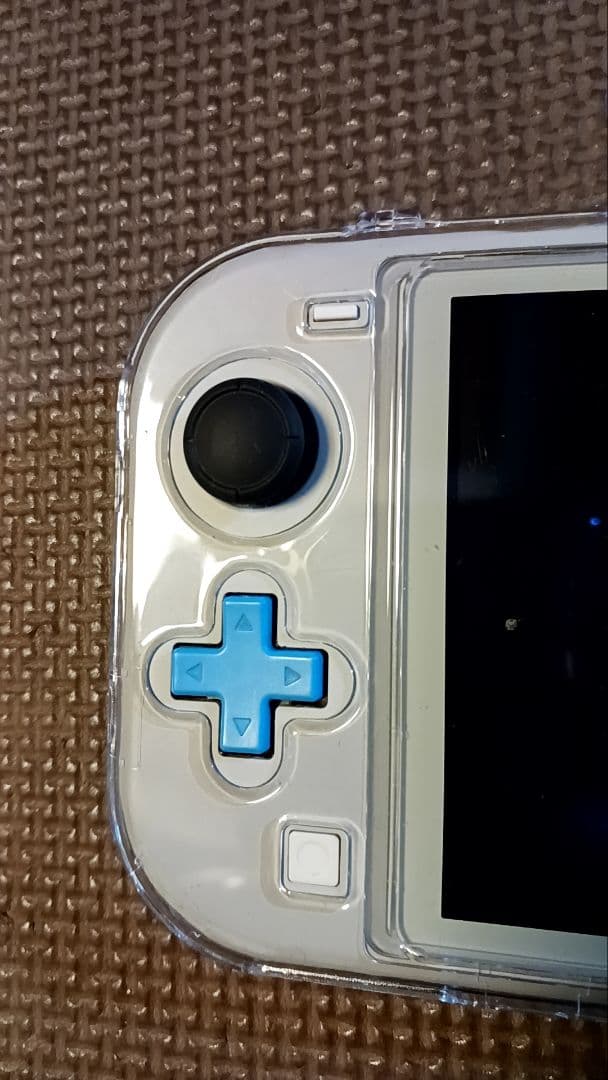 Switchライトポケモン限定！　ジャンク扱い