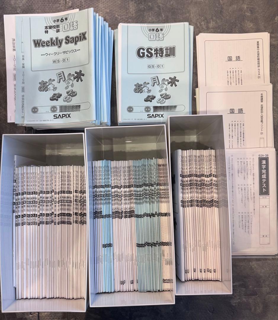 user_d5547334 ⭐︎最新版フルセット② SAPIXサピックス6年