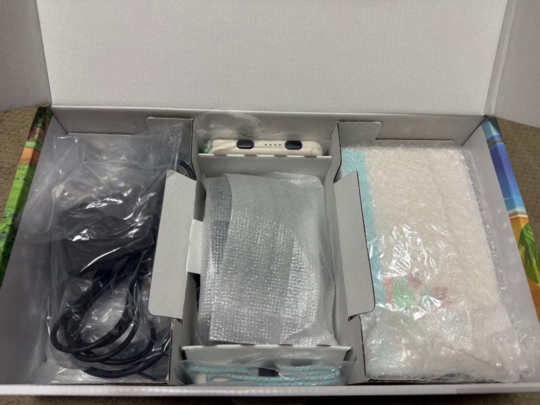 Nintendo Switch あつまれどうぶつの森セット+ハードケース【完品】