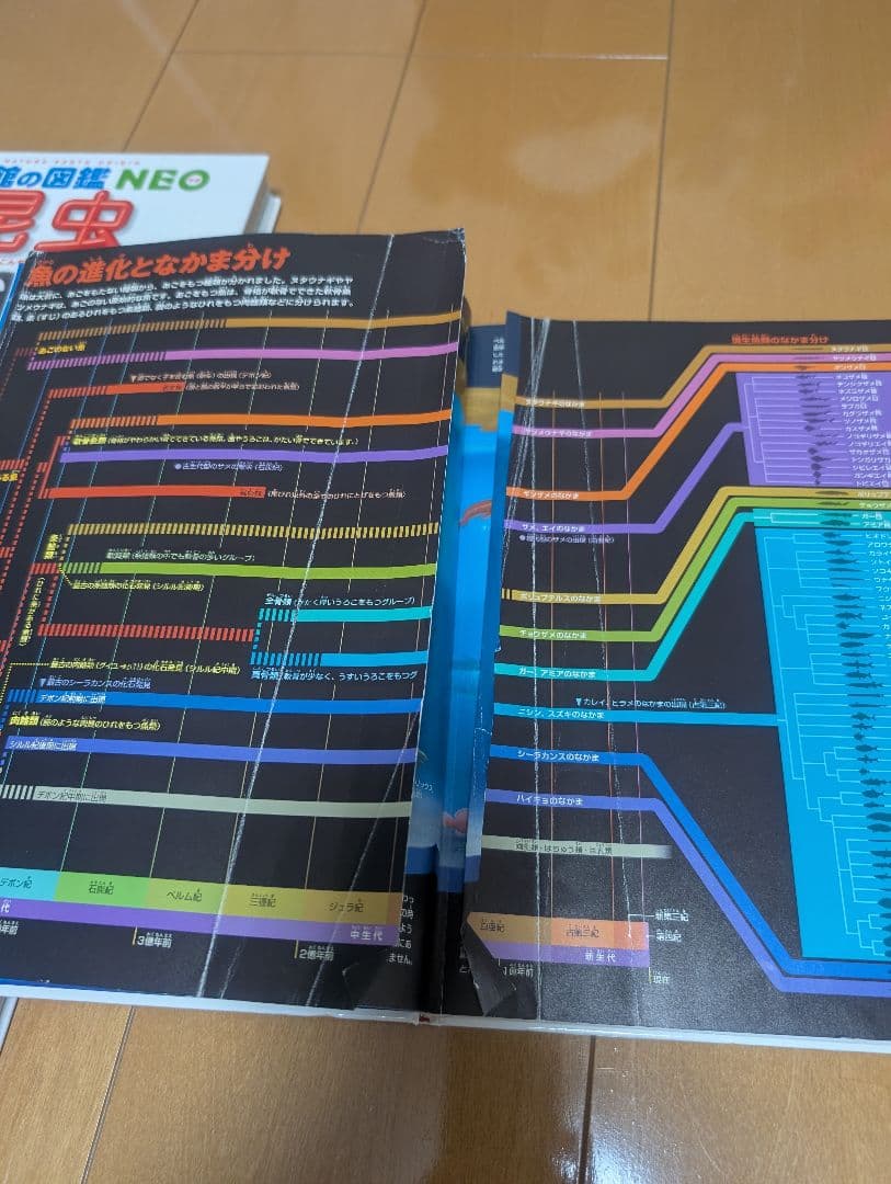 小学館の図鑑NEO まとめ売り＋ポプラディア・学研図鑑セット