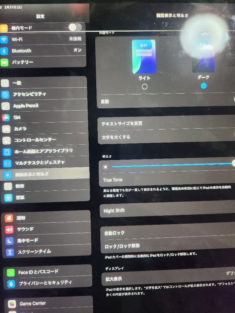 iPad Pro (第4世代) 12.9インチ 256GB ジャンク