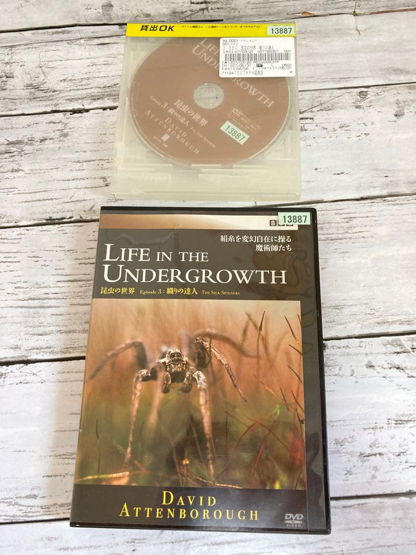 BBC 昆虫の世界　DVD 2枚セット　ライフインザアンダーグラウス