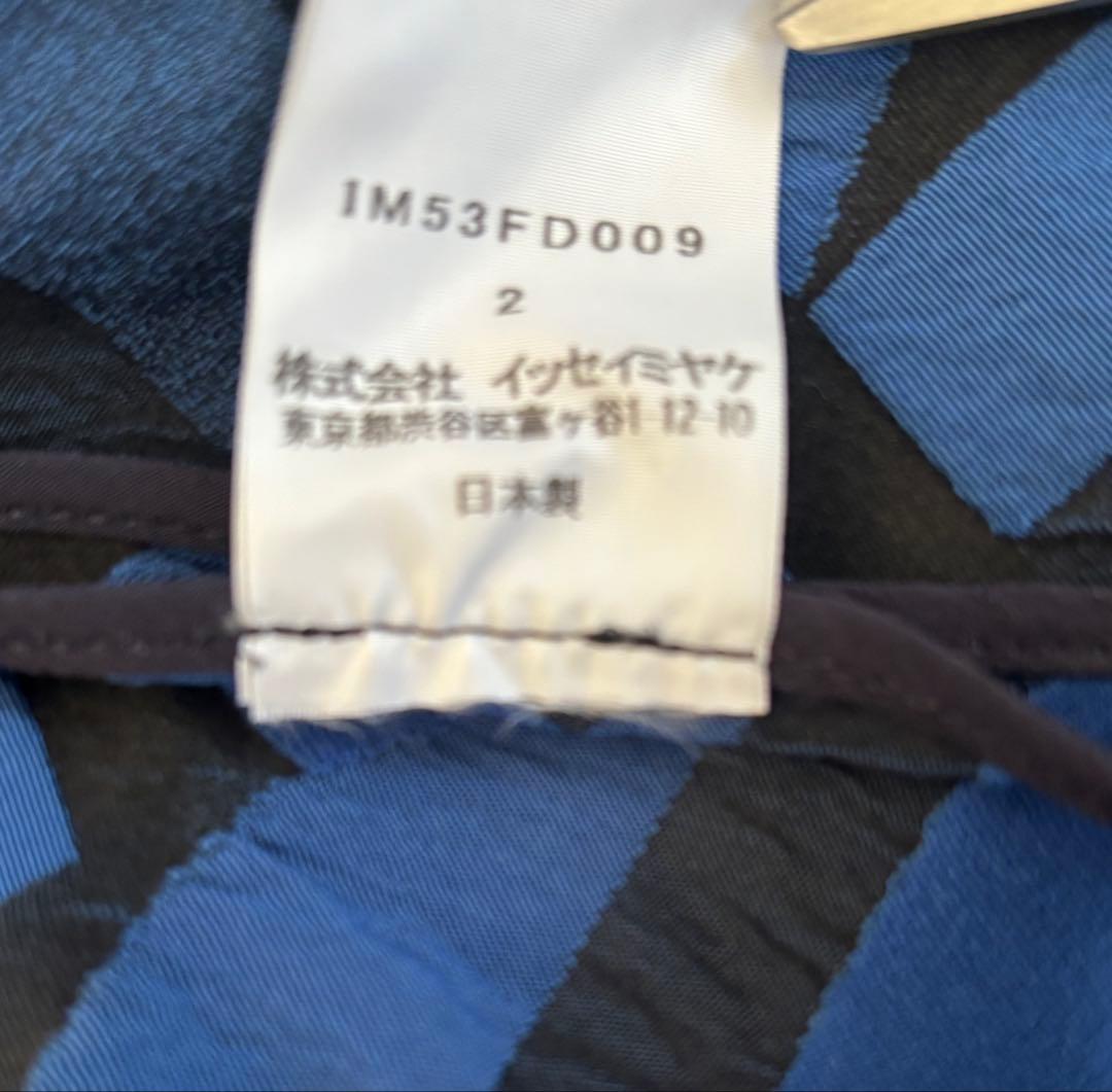 ISSEY MIYAKE ストライプ柄 テーラードジャケット