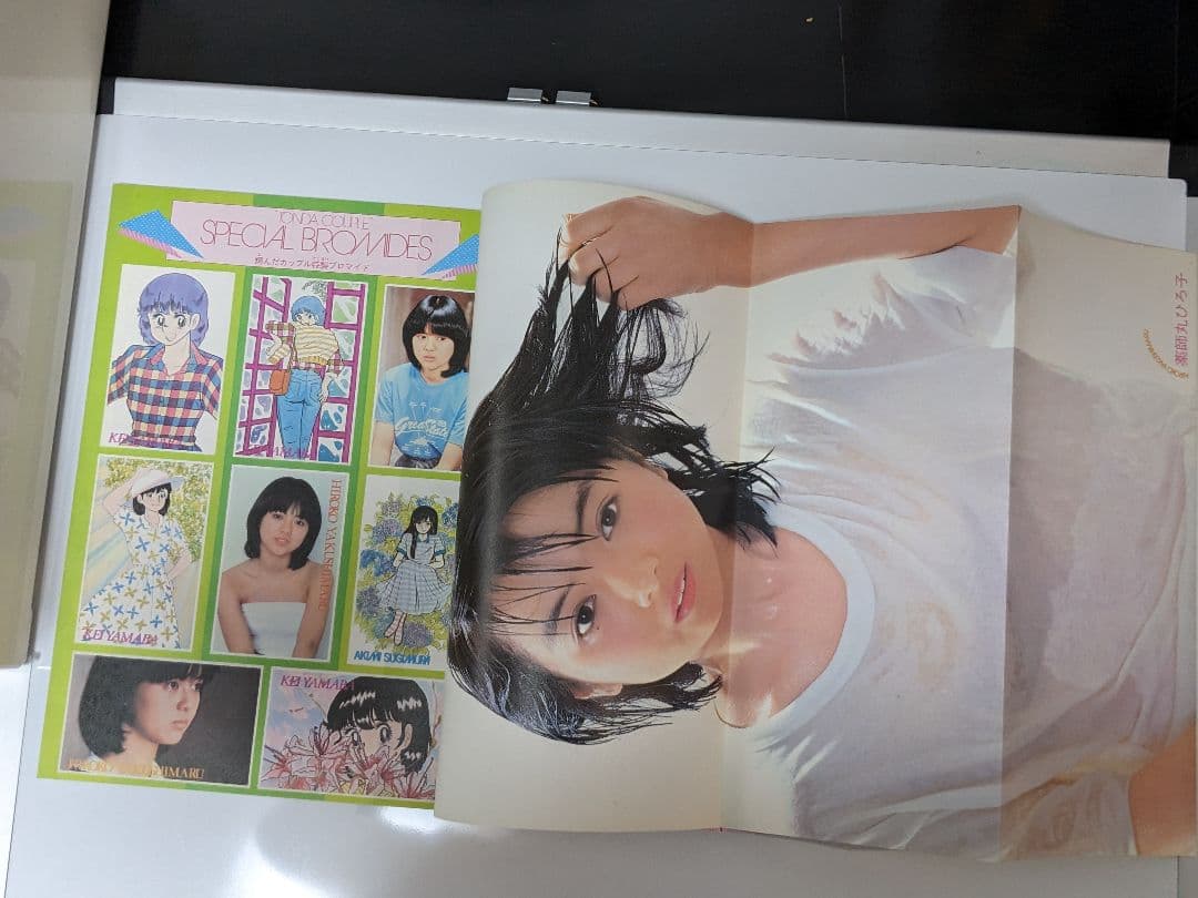 【おまけ】翔んだカップル　全巻　15巻セットプラス別冊ピンナップ集　柳沢きみお