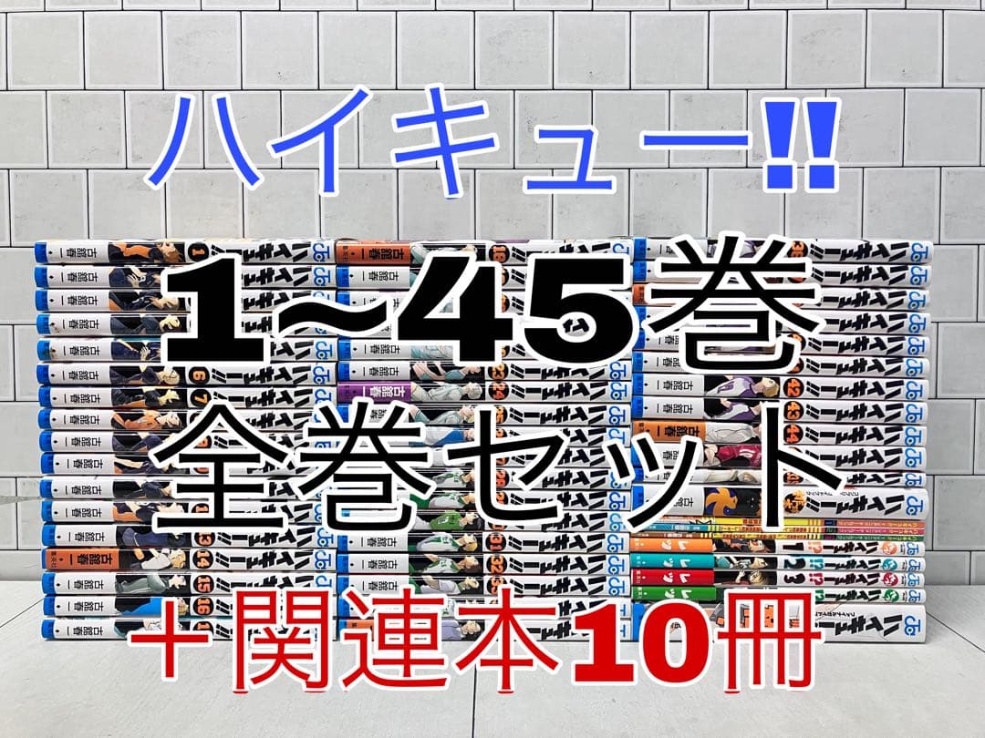 ハイキュー!! 1~45巻 全巻セット ＋関連本10冊 ハイキュー 全巻