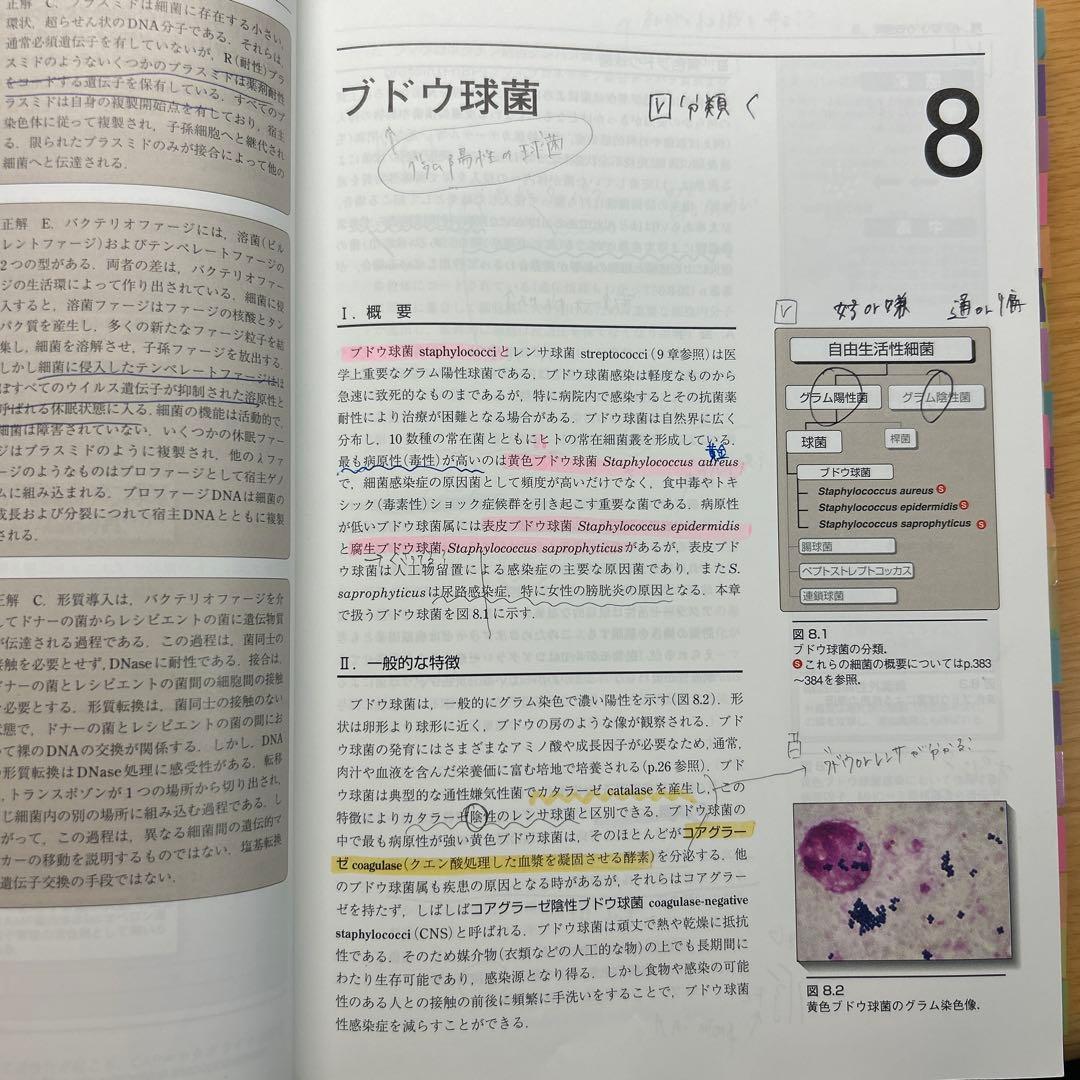 イラストレイテッド微生物学