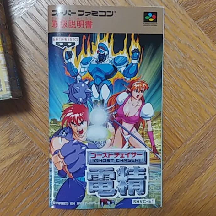 ☆激レア☆テレビゲームソフト 「電精」☆☆