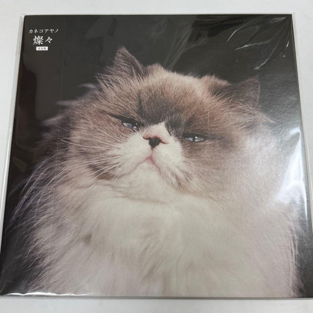 【美品】カネコアヤノ レコード4枚セット