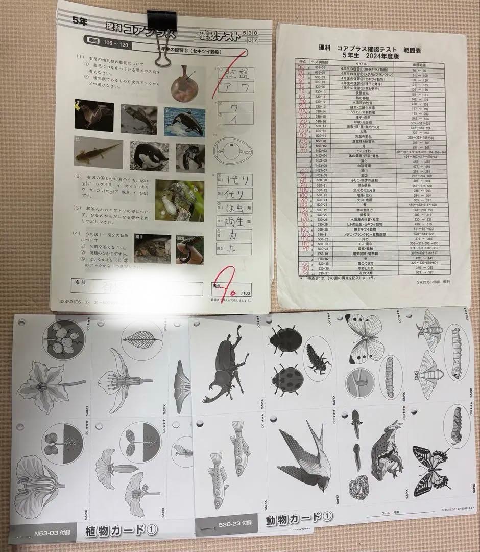 サピックス 5年 理科 フルセット