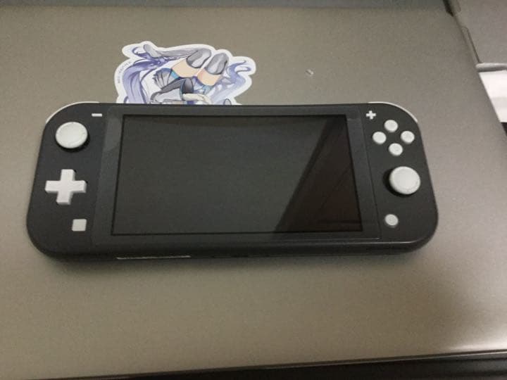 Nintendo Switch Lite グレー