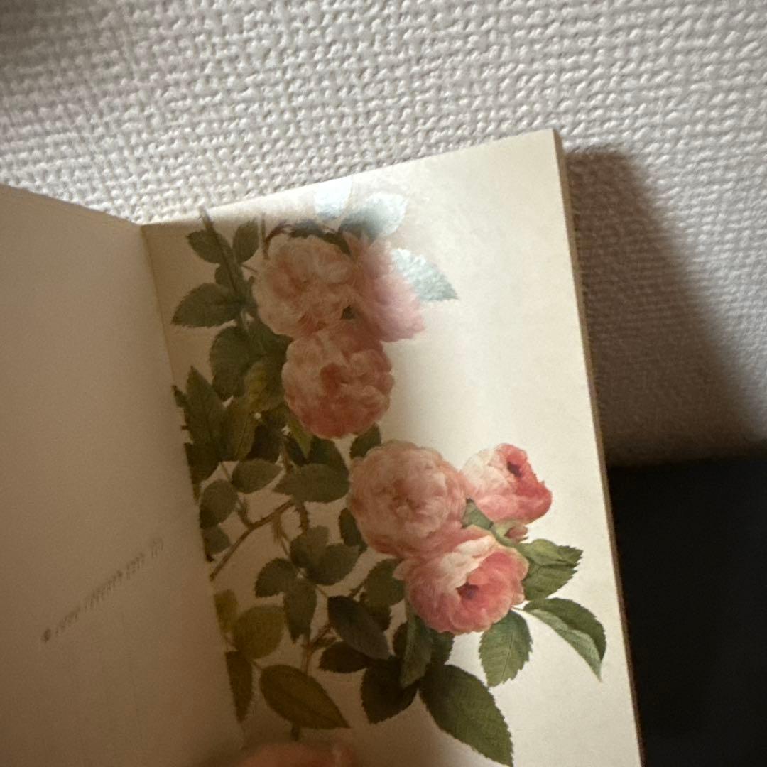 バラ ポストカード 30枚 TASCHEN タッシェン