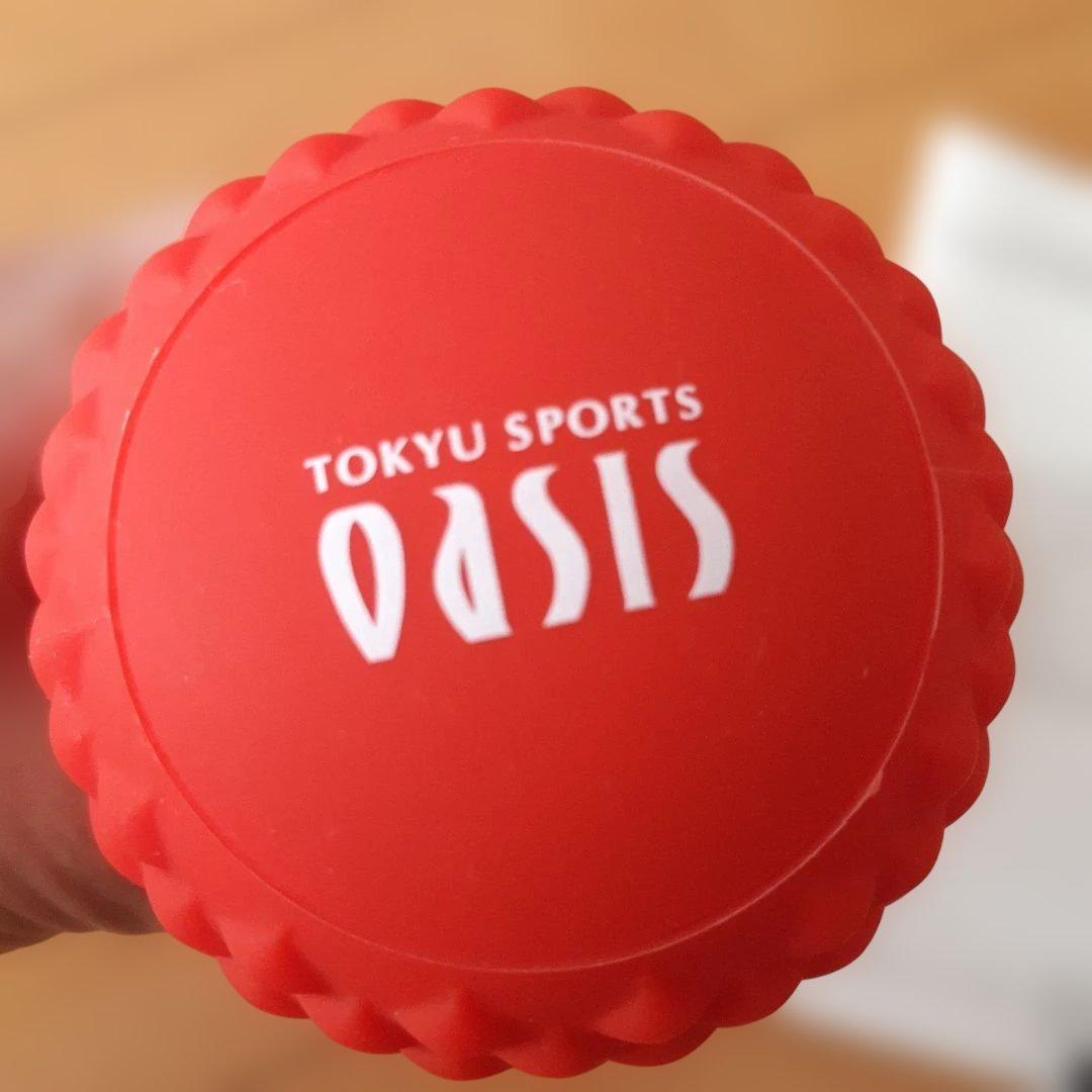 オアシスシェイプツインボール