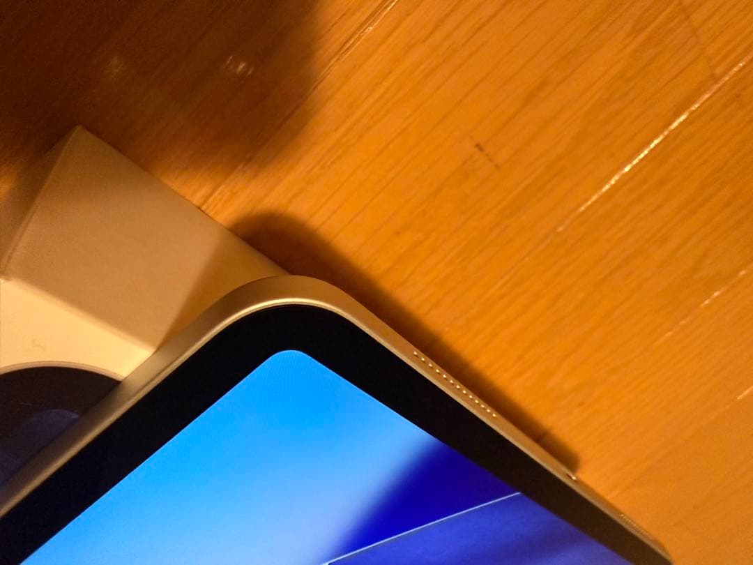 iPad Pro (11インチ) 第2世代 256GB
