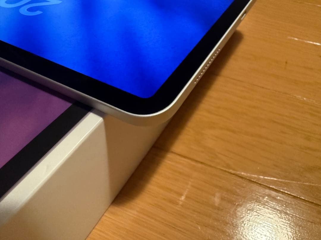 iPad Pro (11インチ) 第2世代 256GB